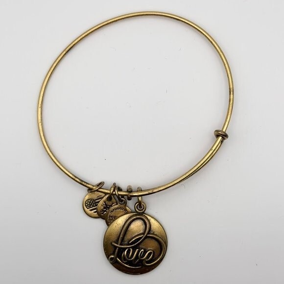 Alex and Ani Love Light Affection Joy 2016 Rafaelian Expandable Bangle Bracelet - Picture 1 of 3